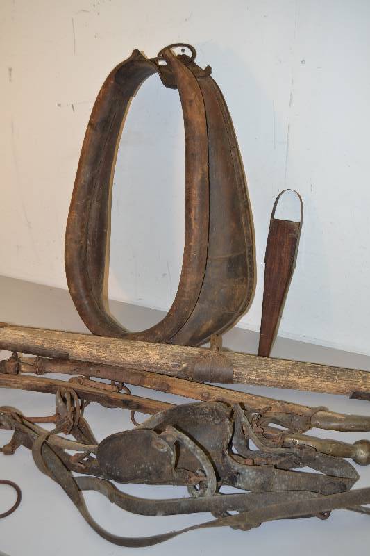 lot 51 image: Horse Items