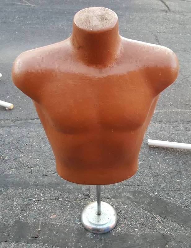 Male torso mannequin