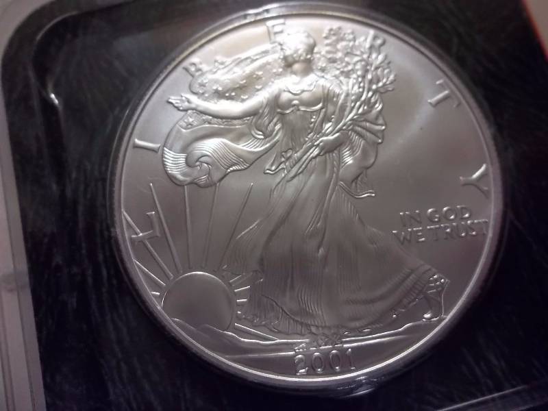 Silver American Eagle By Littleton 2001 Unc