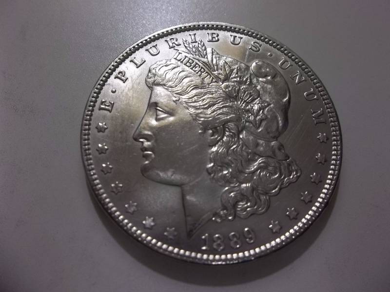 1889 Morgan Silver Dollar High Grade (Polished)