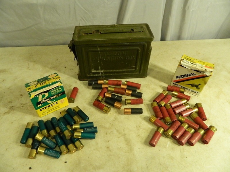 lot 7 image: Metal Ammo Box and Assorted Shot Gun Shells
