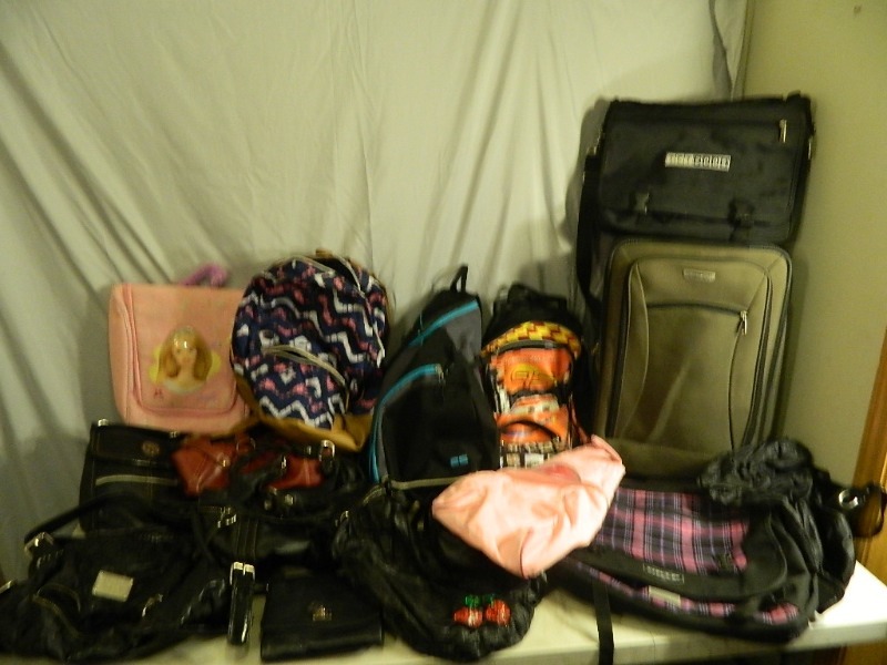 lot 204 image: Purses, Bags, and Luggage