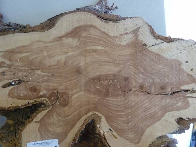 lot 7 image: Wood Slab
