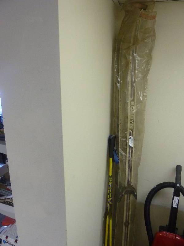 lot 224 image: Skis and Poles