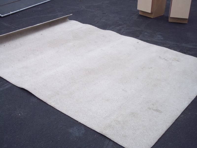 Beige rug 6 x 9