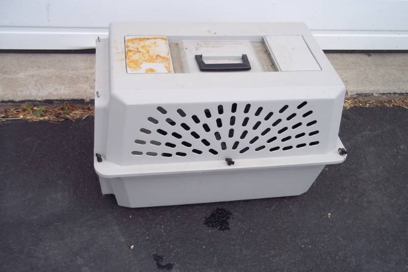 Pet Taxi 22x15x12