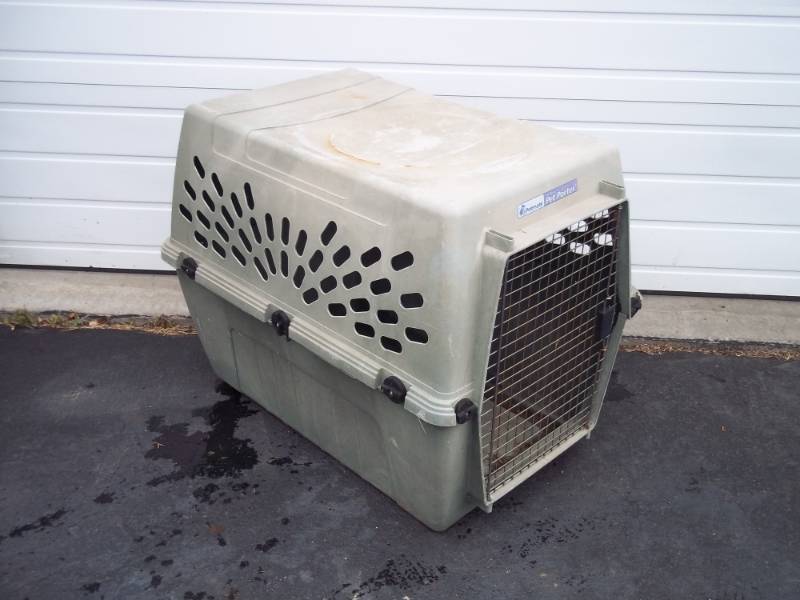 Pet Porter 24 x 30 x 32