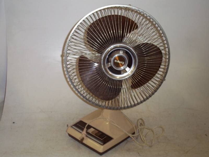 12 Oscillating Fan
