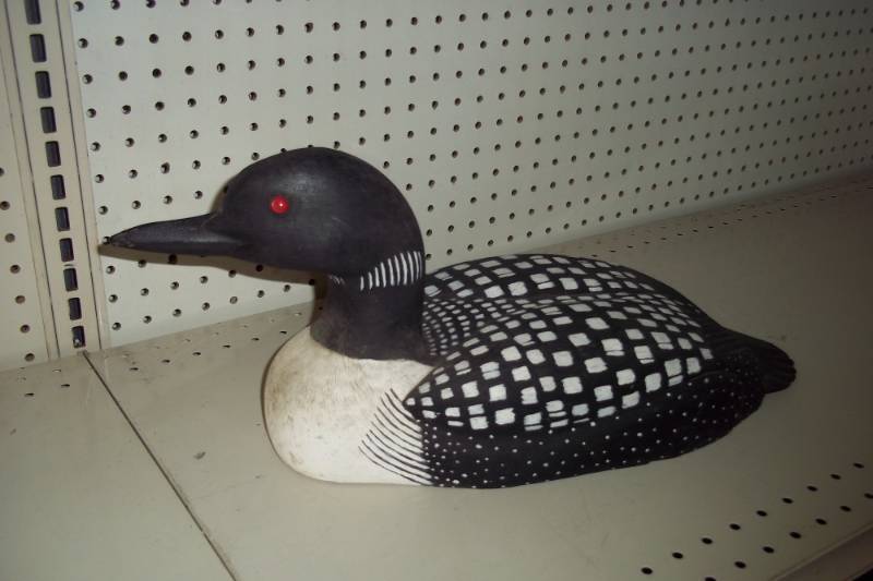 Large Wood Loon