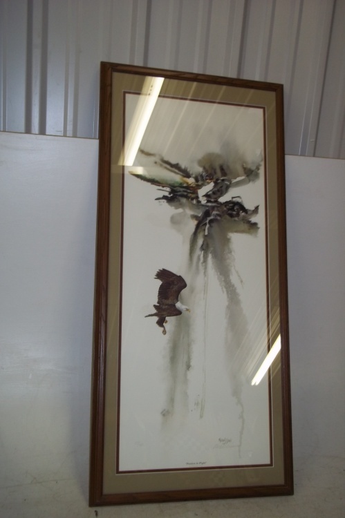 Eagle Picture 17 x 37