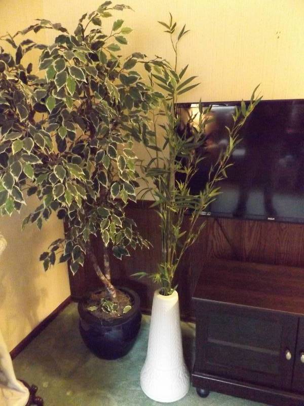 lot 396 image: Planters