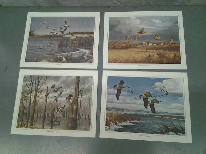 4-Bird Prints By Maass 8x10