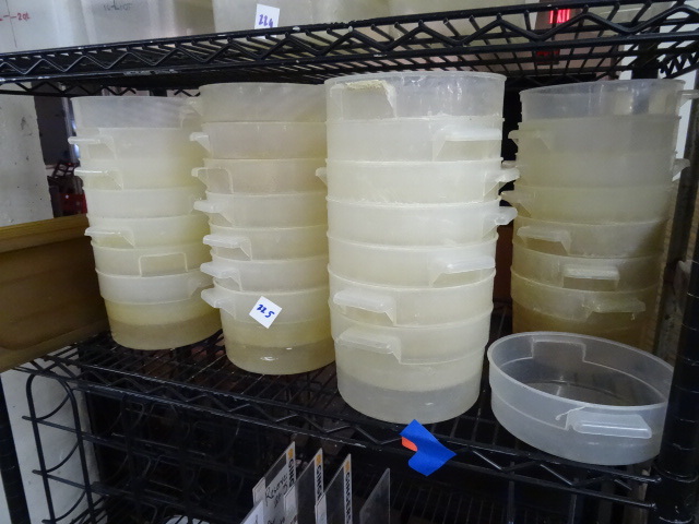 lot 225 image: Misc Prep Containers