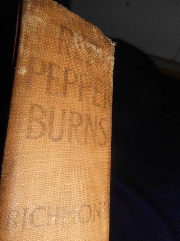 lot 12 image: ANTIQUE 1912 RED PEPPER BURNS BOOK