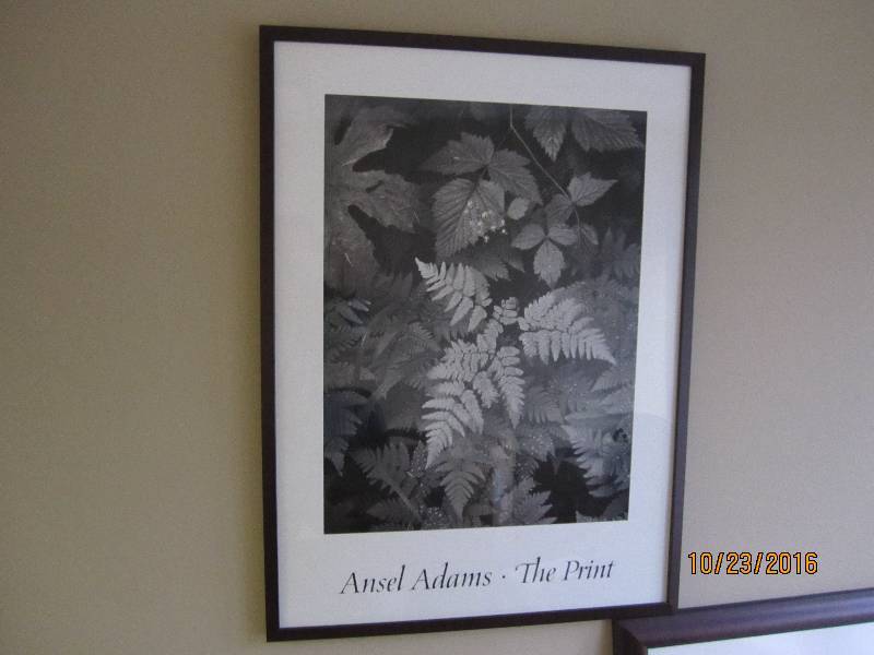Framed Ansel Adams print 27 x 36...
