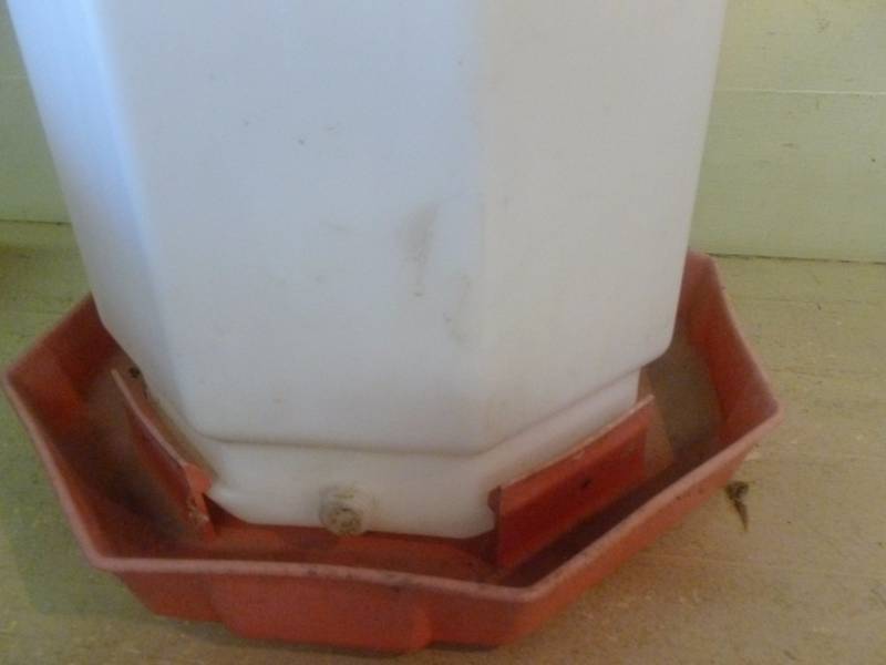 Chicken Waterier
