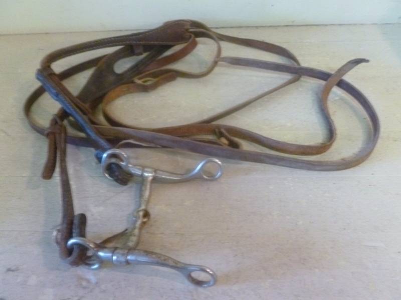 Horse Equipment