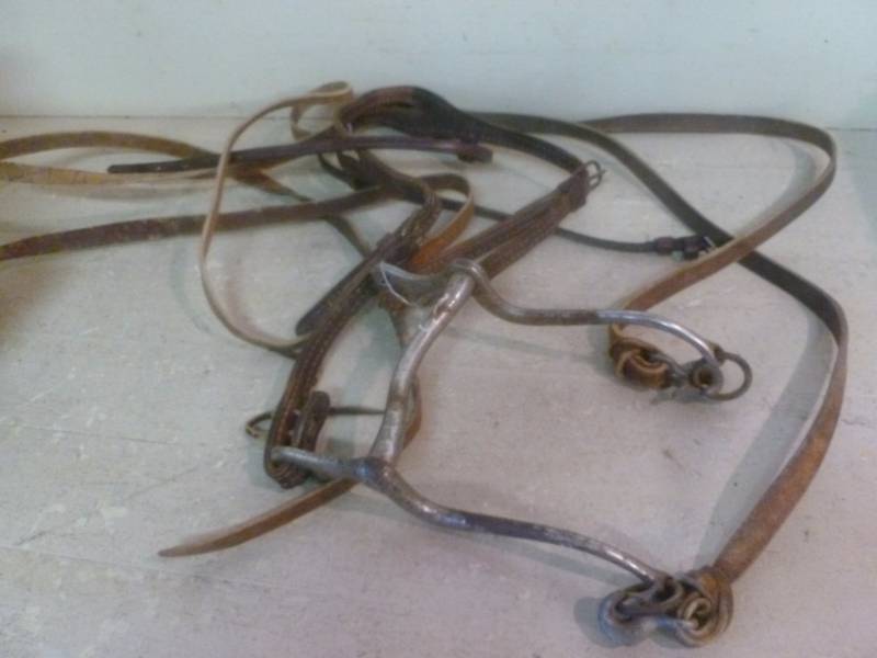 Horse Equipment