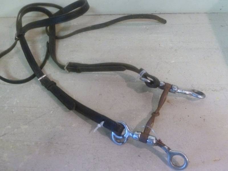 Horse Equipment