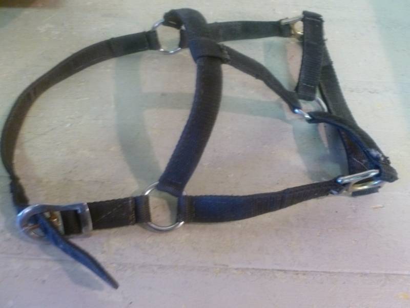 Horse Equipment