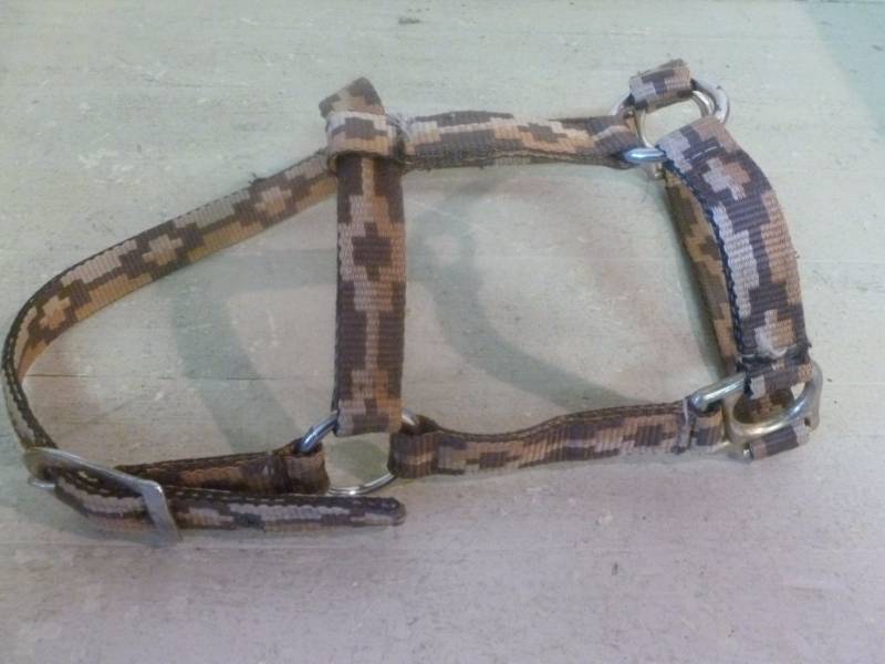 Horse Equipment