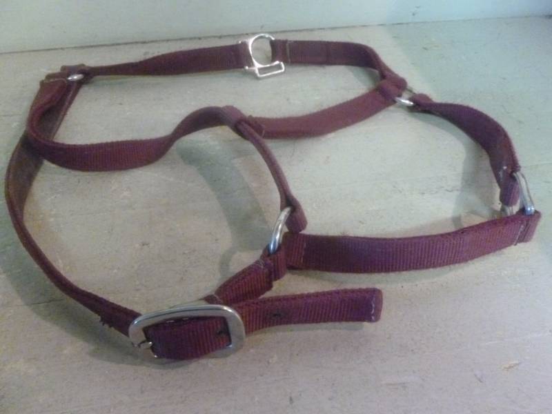 Horse Equipment