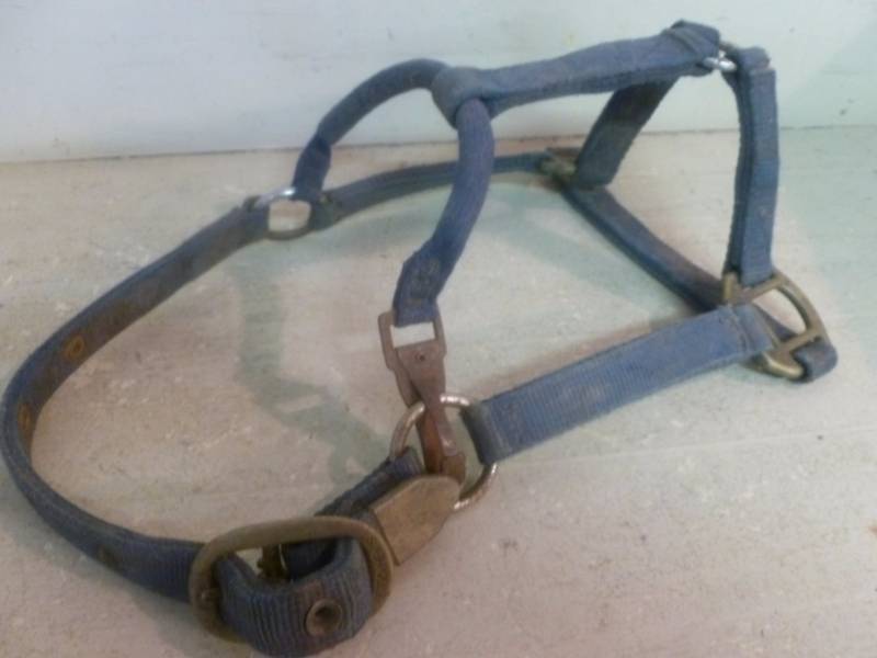 Horse Equipment