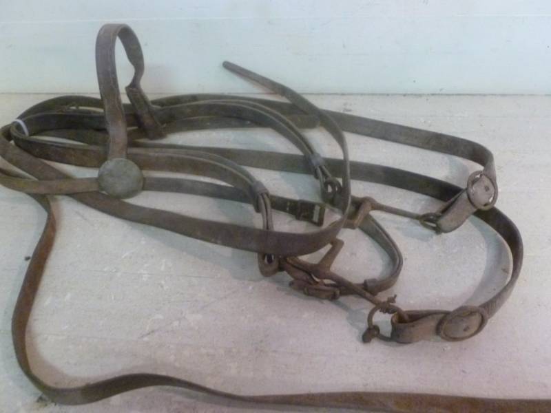 Horse Equipment