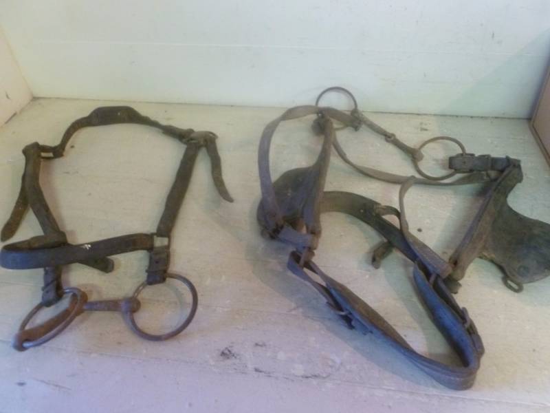 Horse Equipment