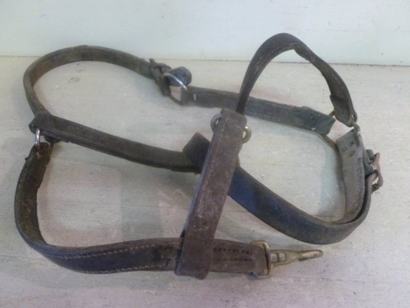 Horse Equipment