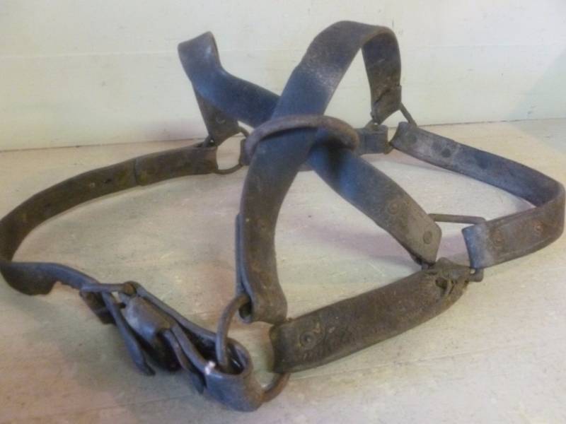 Horse Equipment