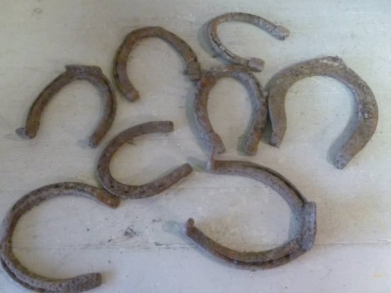 Antique Horseshoes