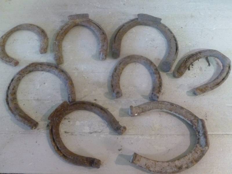 Antique Horseshoes