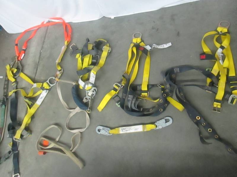 lot 35 image: Safety Harnesses - 4 Total