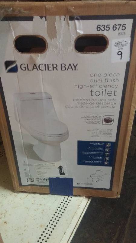 Glacier Bay 1 piece toilet