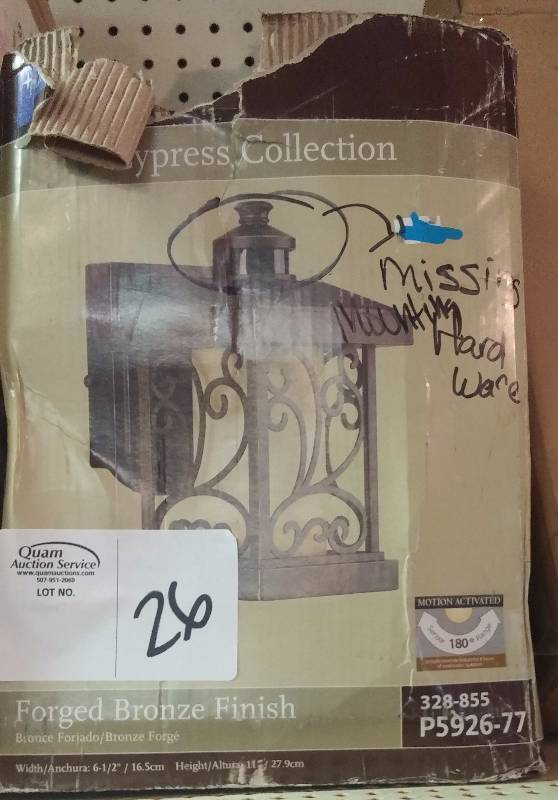 Forged Bronze Finish Outdoor Light