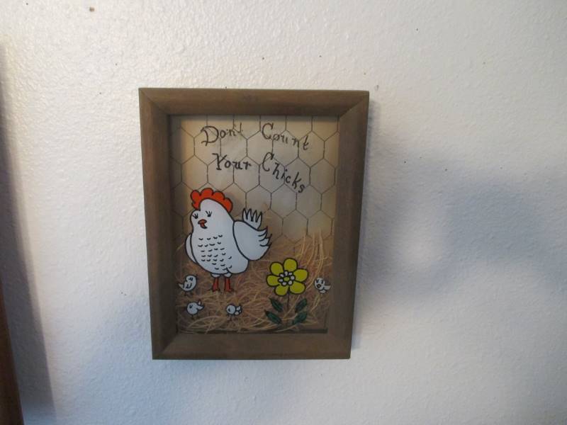 (4) Chicken Pictures