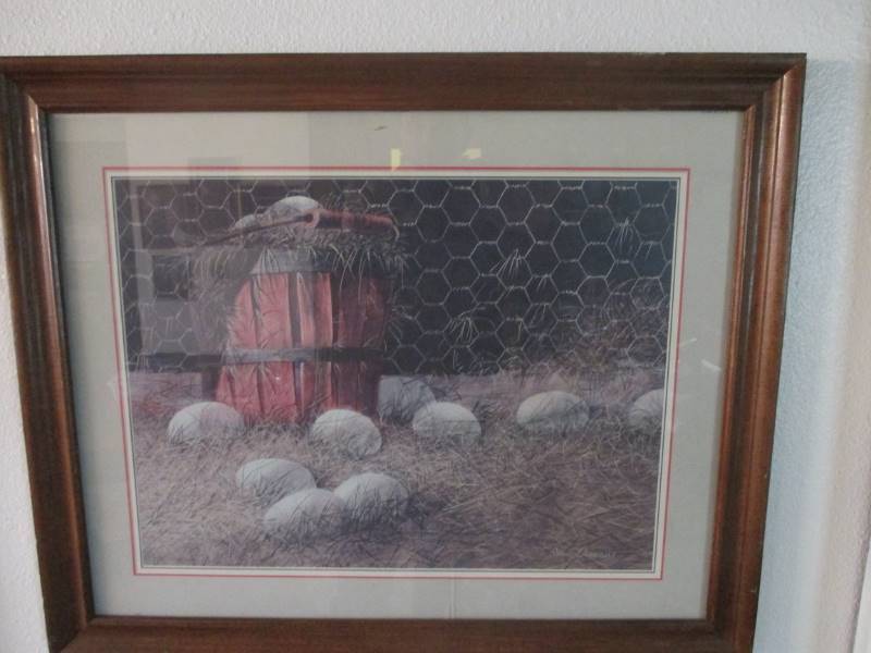 (3) Wildlife Pictures