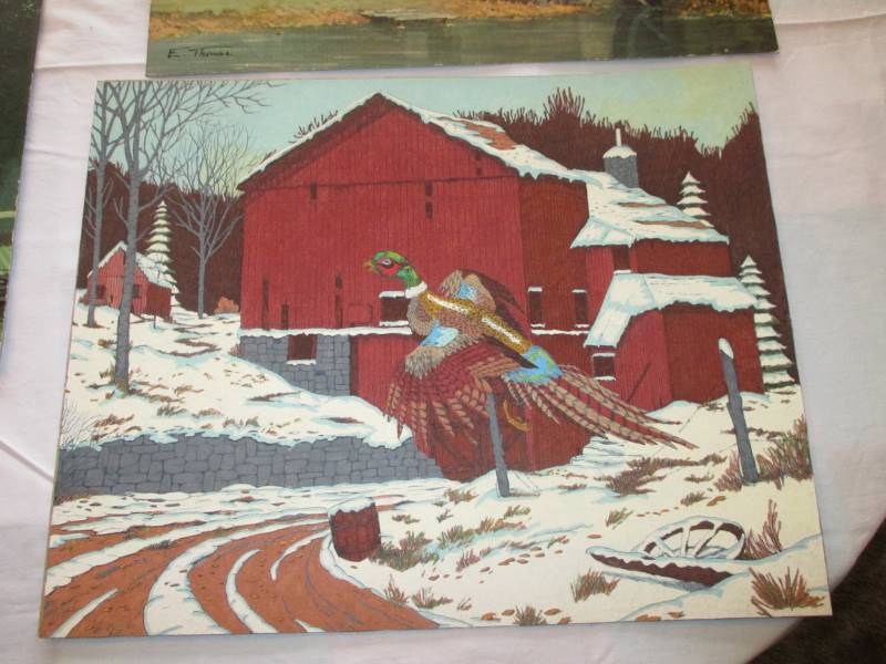 (6) CountryWildlife Pictures (no frames)