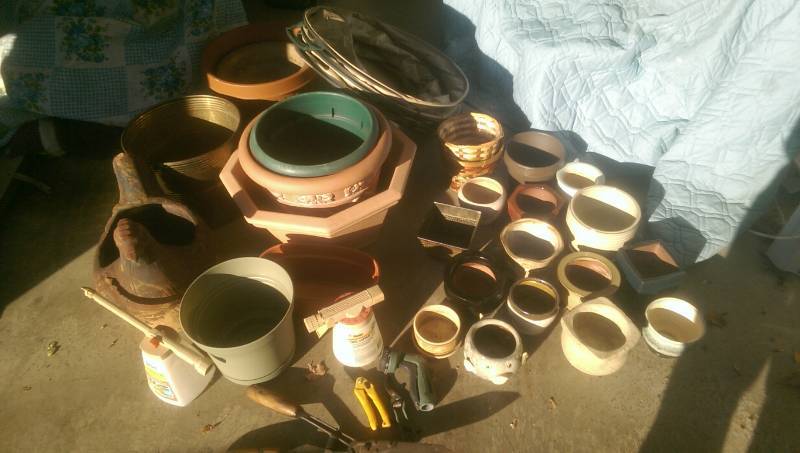 lot 235 image: Large Variety Of Indoor & Outdoor Plant Pots