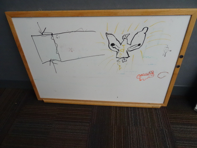 36 x 24 white board