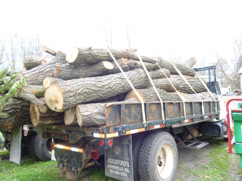 West Metro Truck Loads Firewood Sale in Mayer, Minnesota by NorthStar Brainerd Lakes