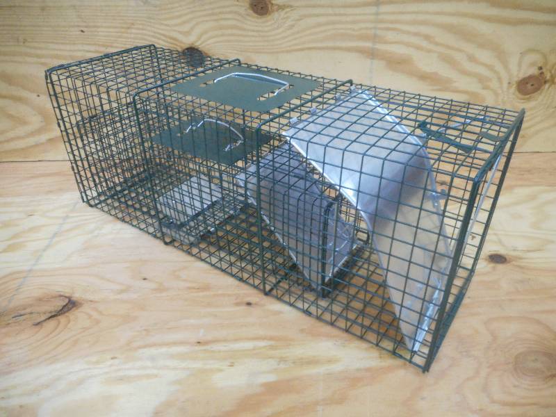New 2-Pack Of Animal Live Traps, La...