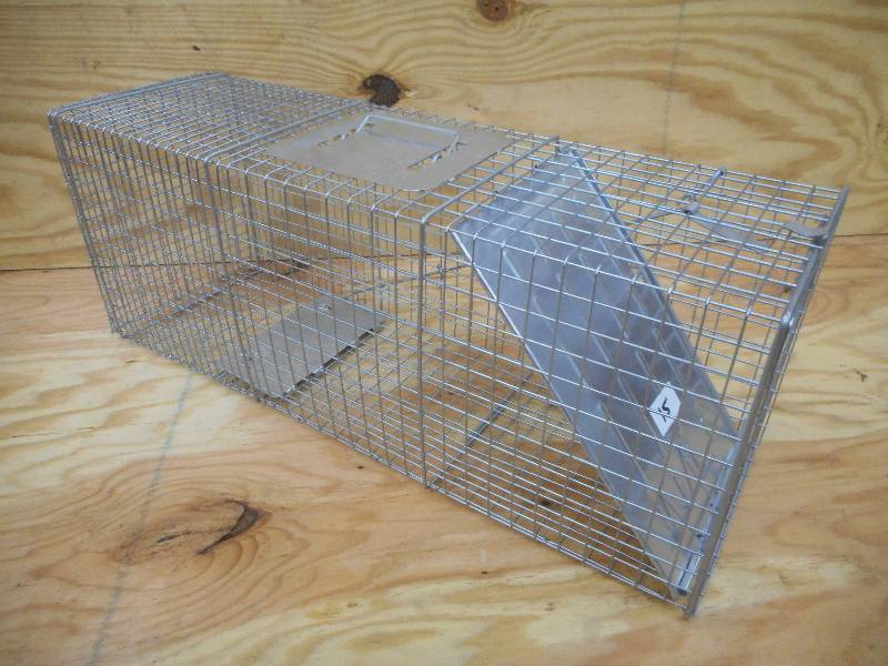 New Large Sized Animal Live Trap ...