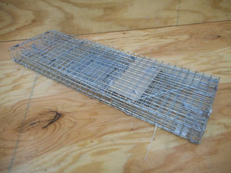 New Medium Sized Animal Live Trap--...
