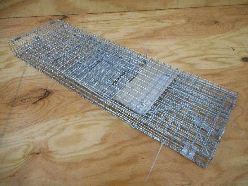 New Medium Sized Animal Live Trap--...