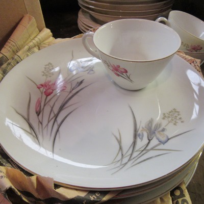 Plates & Cups