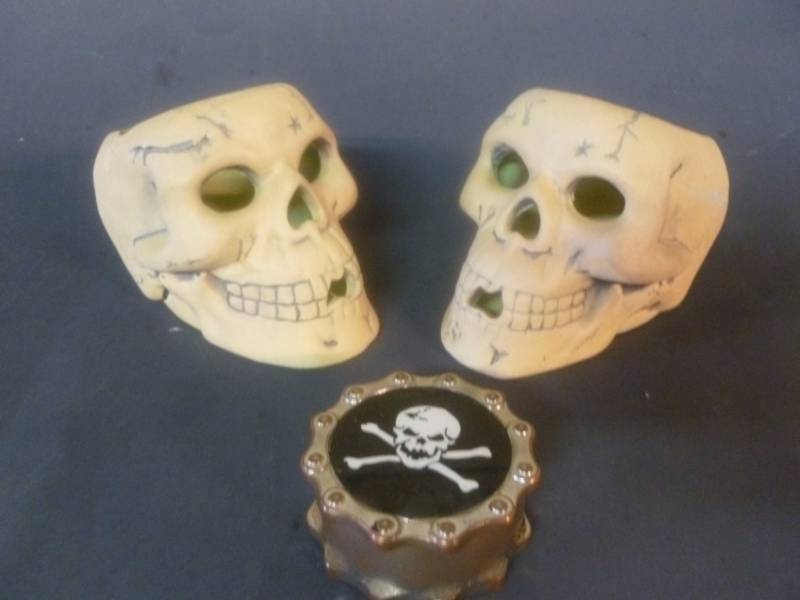 Skull Decoration