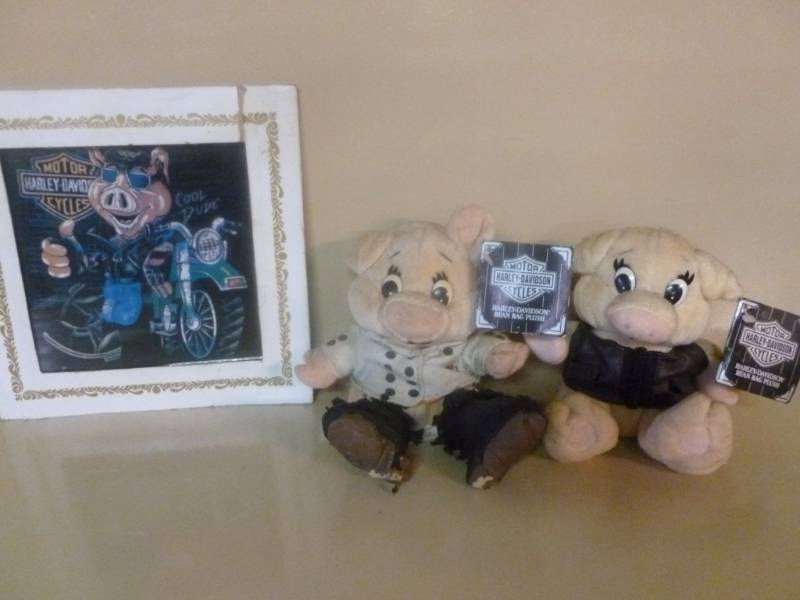 Harley Davidson Collectible