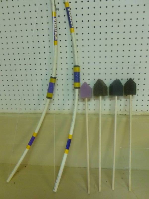 Minnesota Vikings Collectible